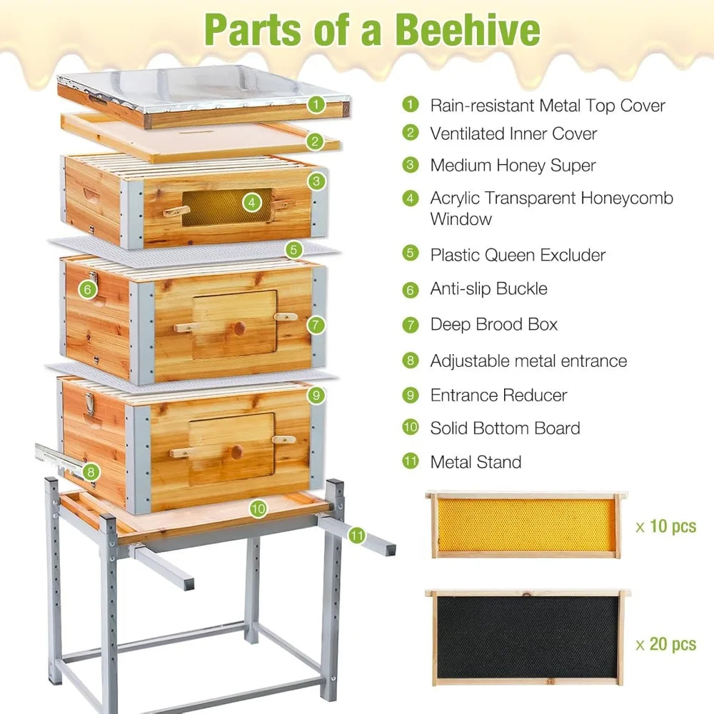 Beeswax Dipped Langstroth Beehive With Metal Frame And Stand