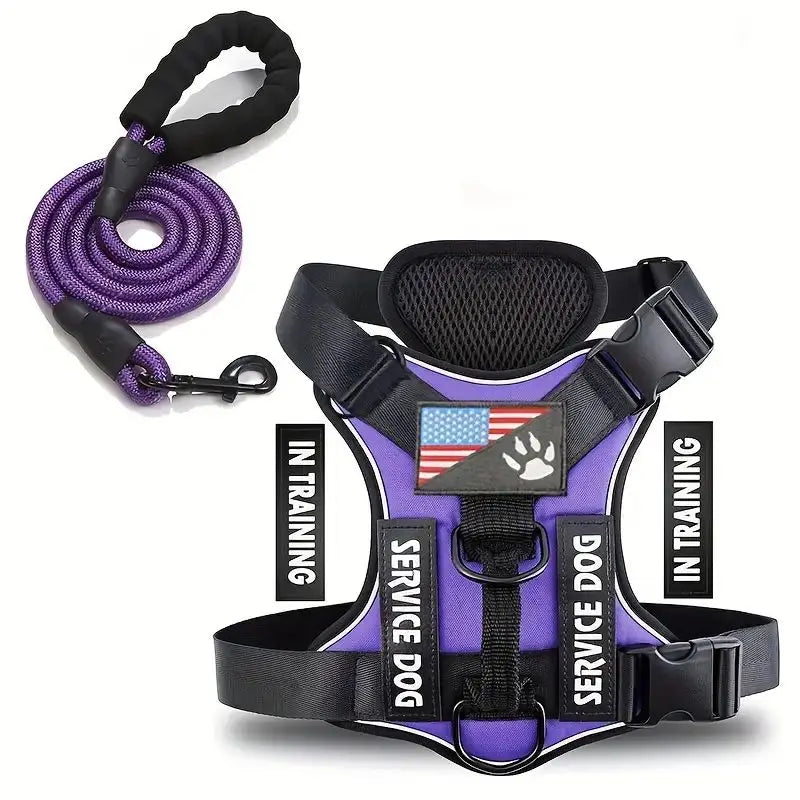 CN Zhejiang Escape Proof Dog Harness And Leash Set Reflective