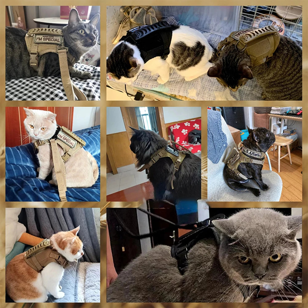 PETRAVEL Tactical Cat Harness With Handle For Training And Walking