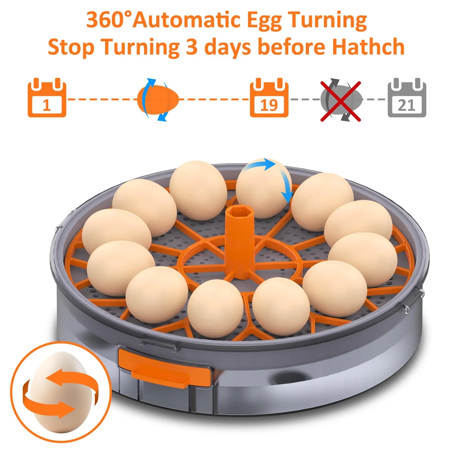 Choice 12 Egg Hatching Incubator With Automatic Turning Humidity Control