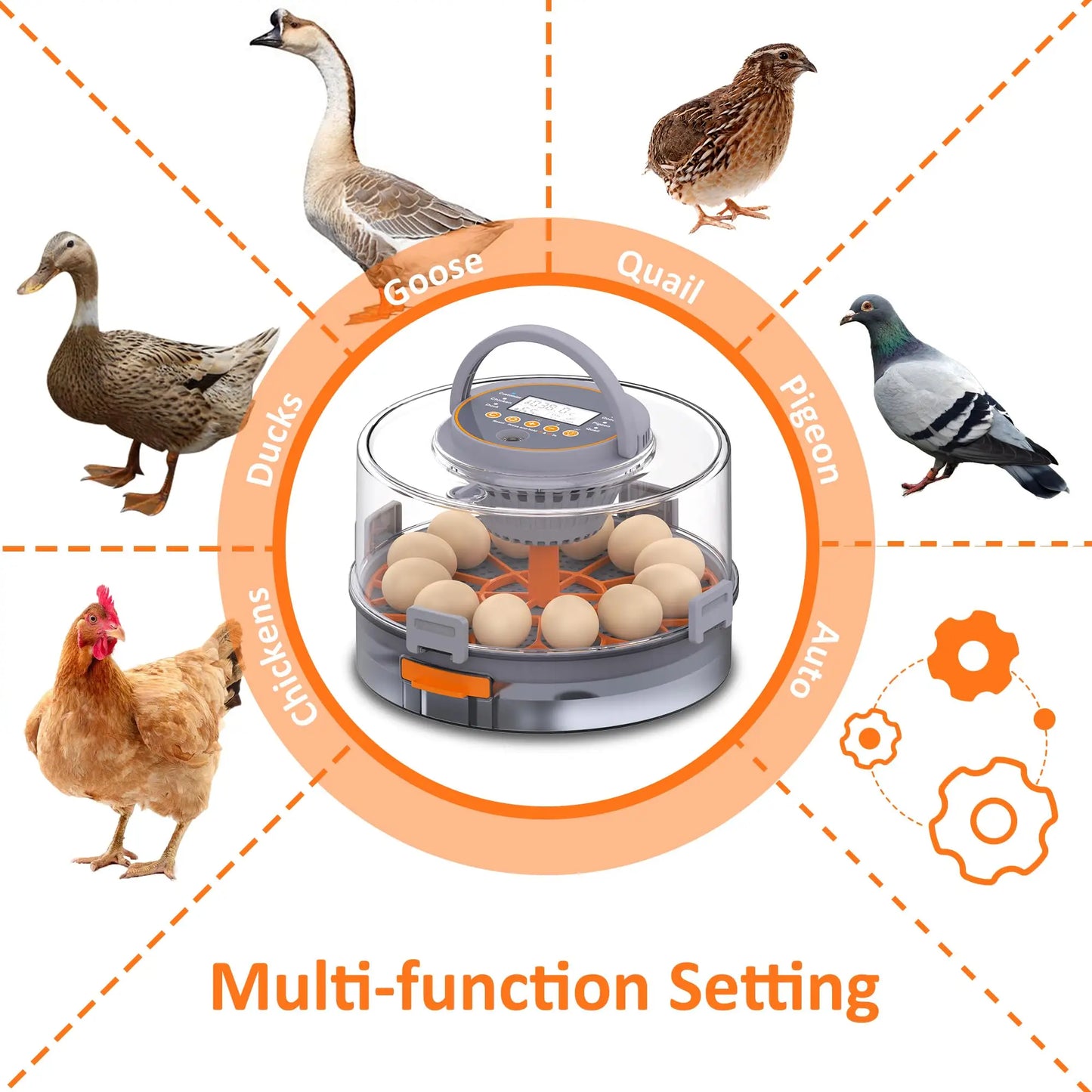 Choice 12 Egg Hatching Incubator With Automatic Turning Humidity Control