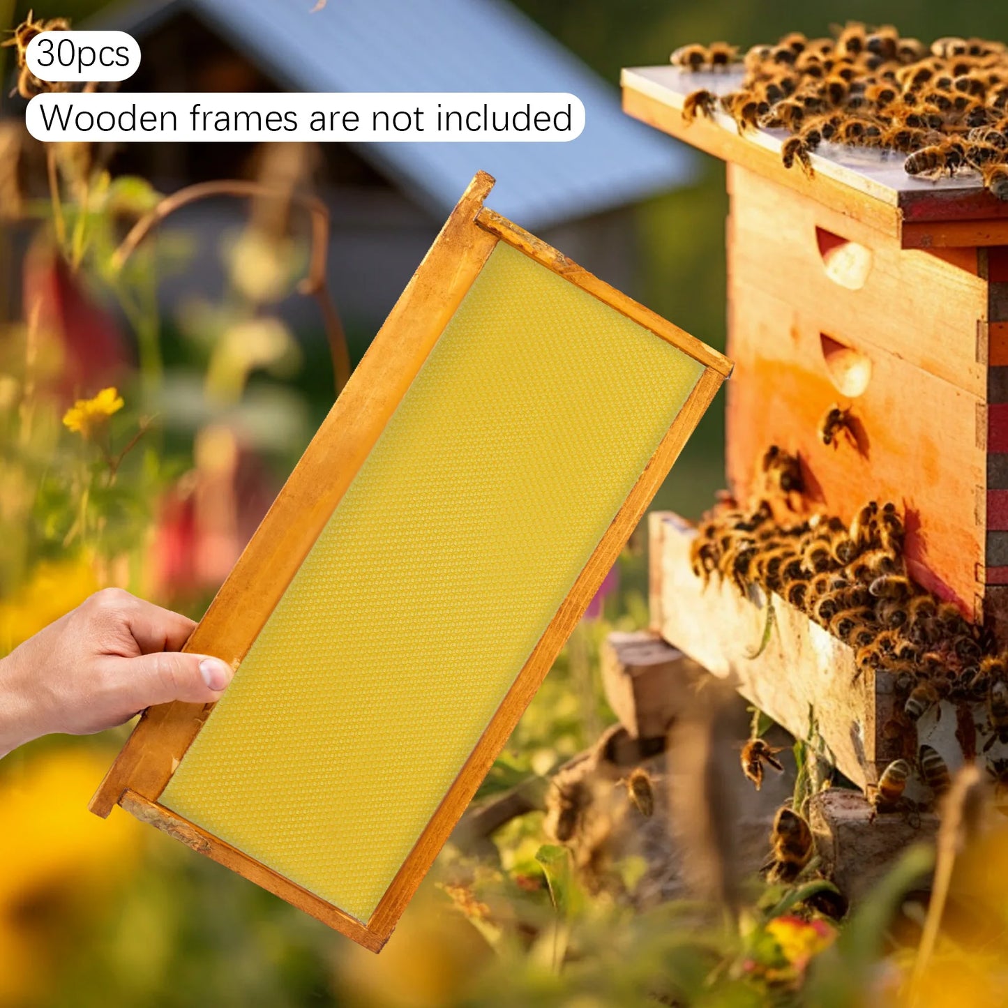 Beekeeping Starter Kit With Natural Beeswax Hive Foundations