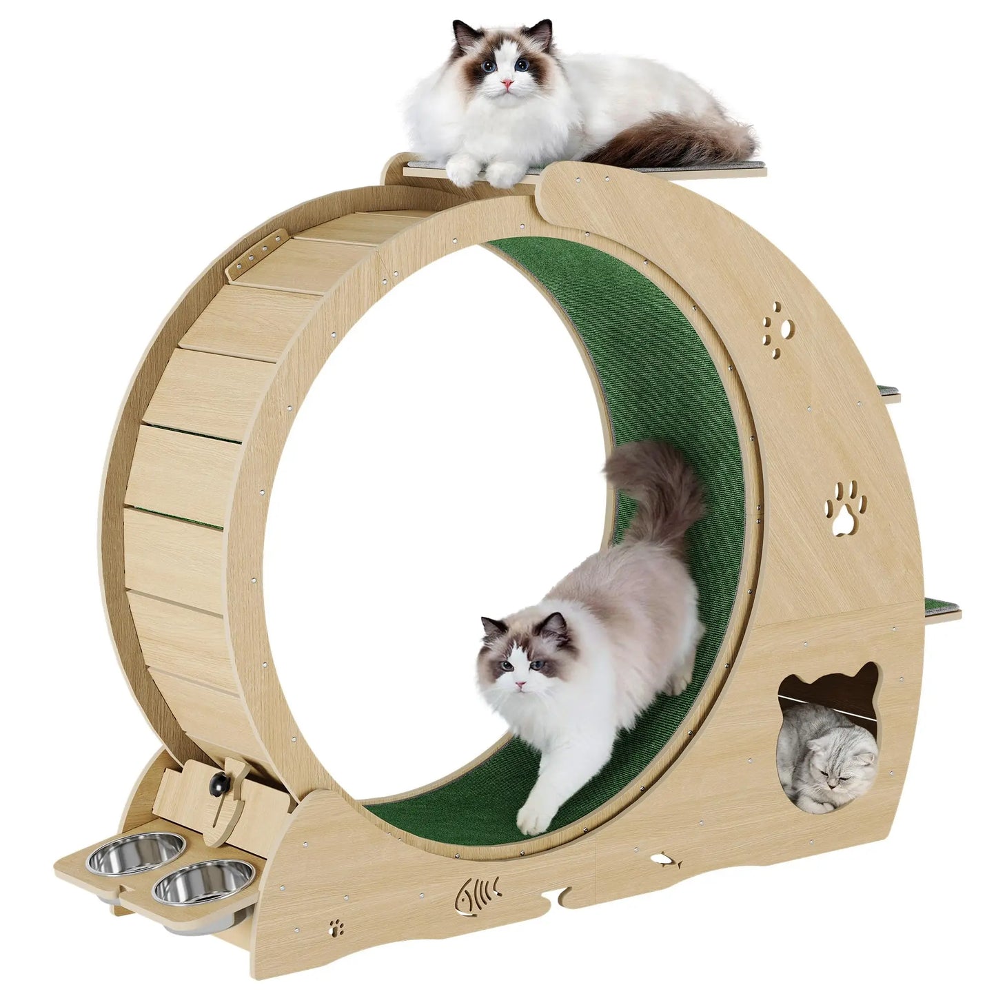 HiMISS 6 In 1 Cat Treadmill With Quiet Exercise Wheel