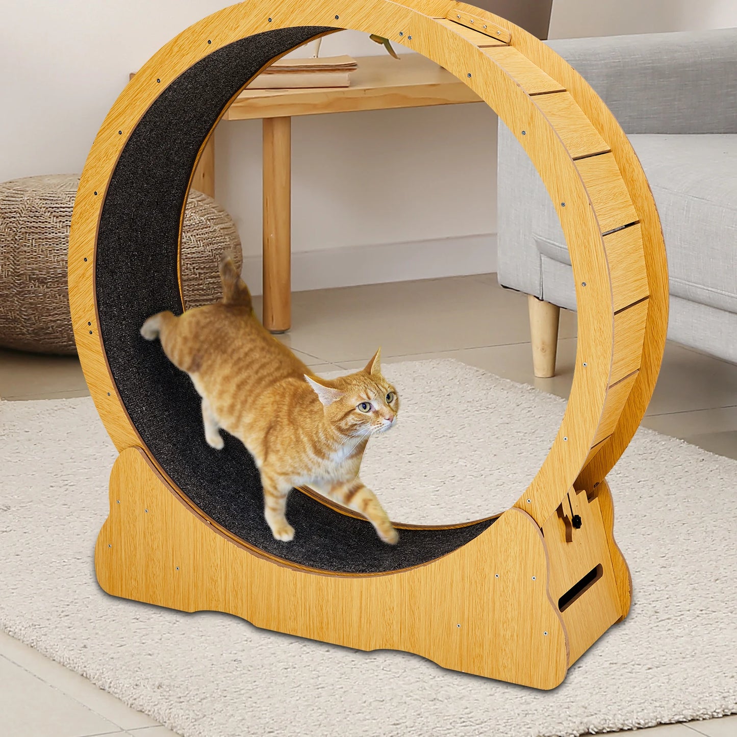Hign-concerned Cat Wheel Exerciser for Indoor Cats
