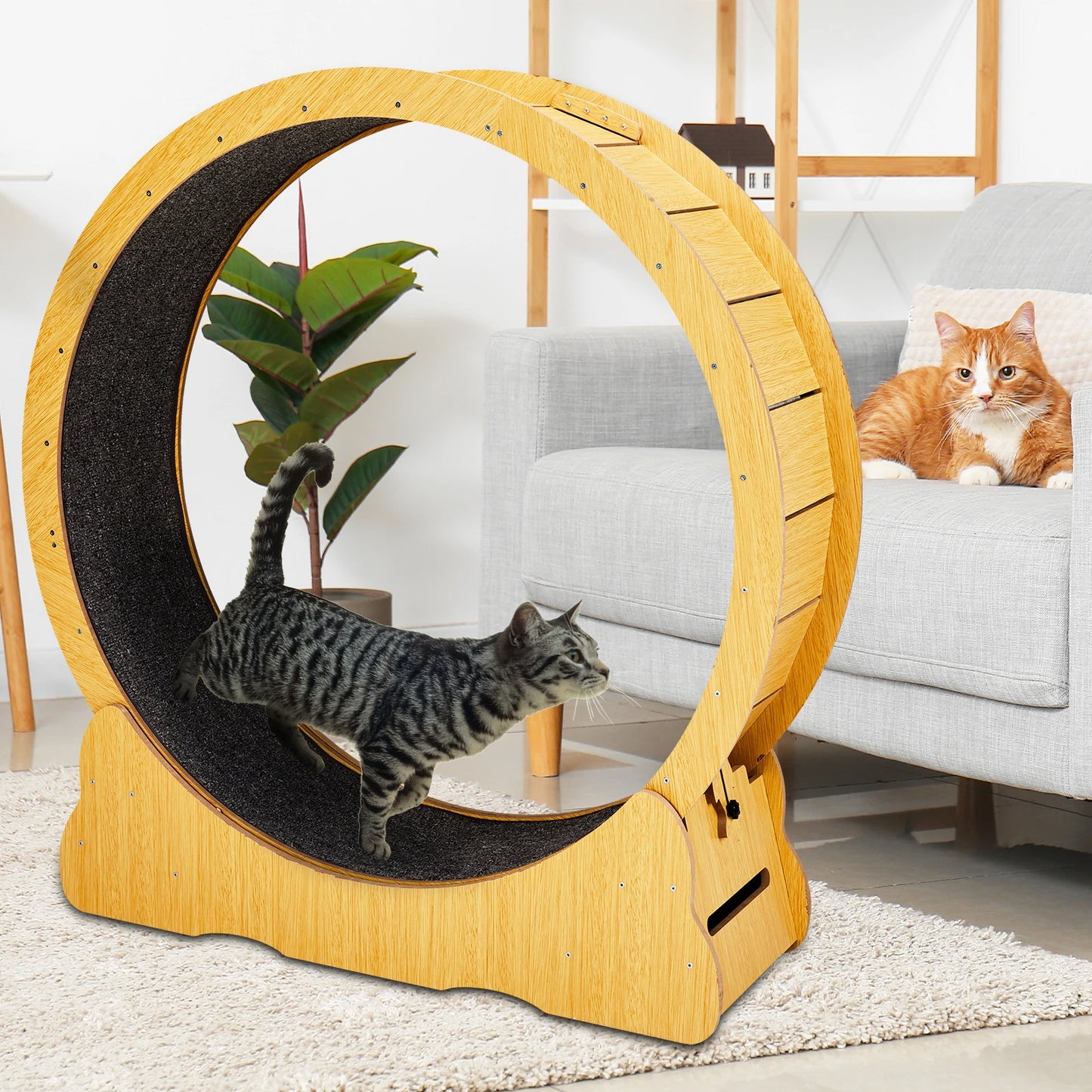 Hign-concerned Cat Wheel Exerciser for Indoor Cats