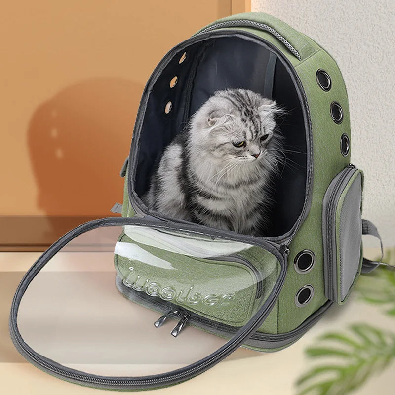 Pawstrip Transparent Cat Carrier Backpack for Cats and Small Dogs