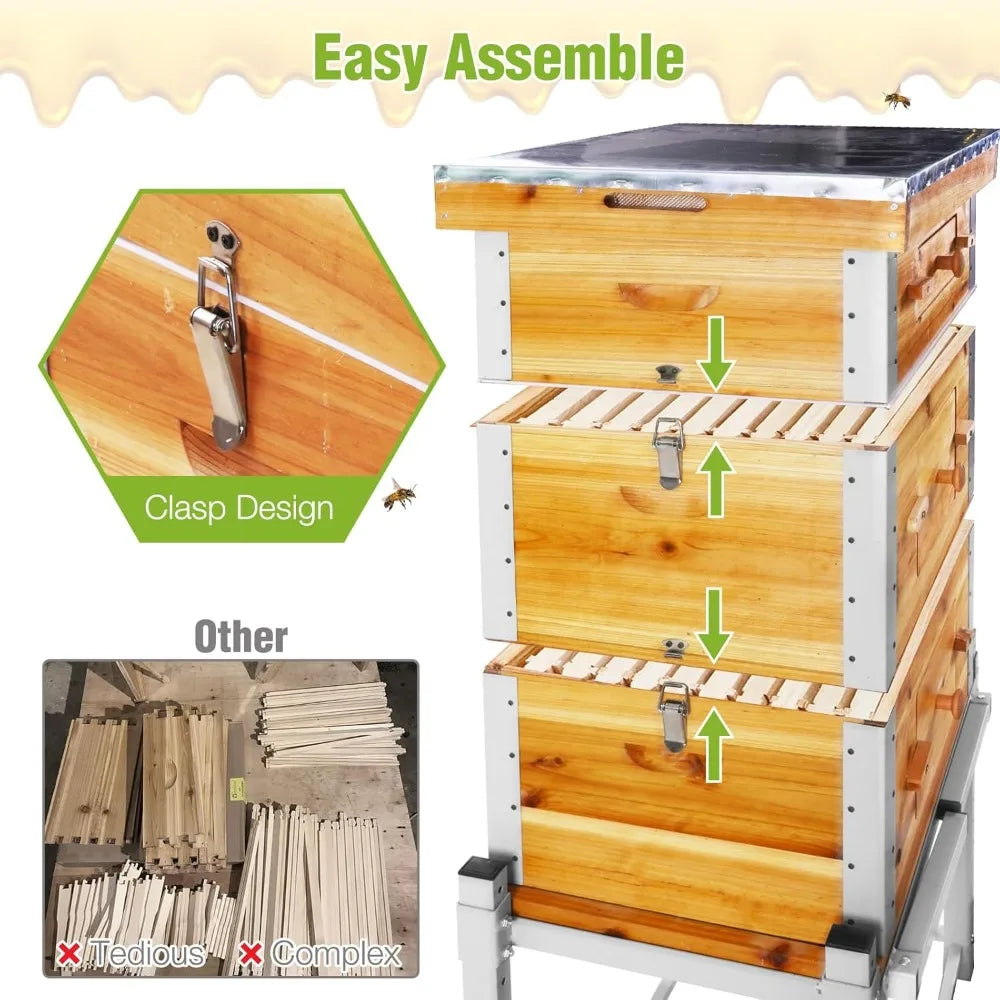 Beeswax Dipped Langstroth Beehive With Metal Frame And Stand