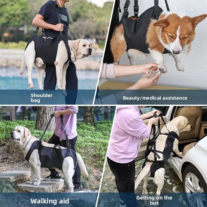 Guangdong Dog Hind Leg Support Harness Lift Sling Mobility Aid