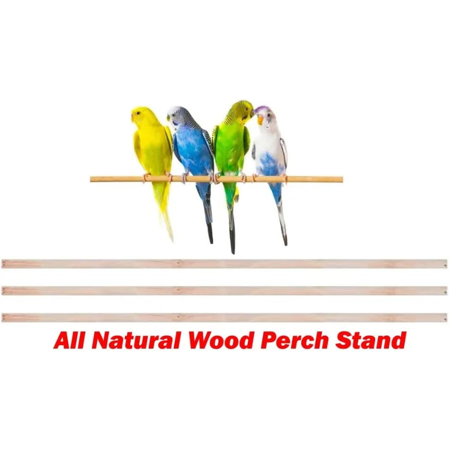 Guangdong Double Roof Top Hanging Bird Cage With Toys For Small Parrots