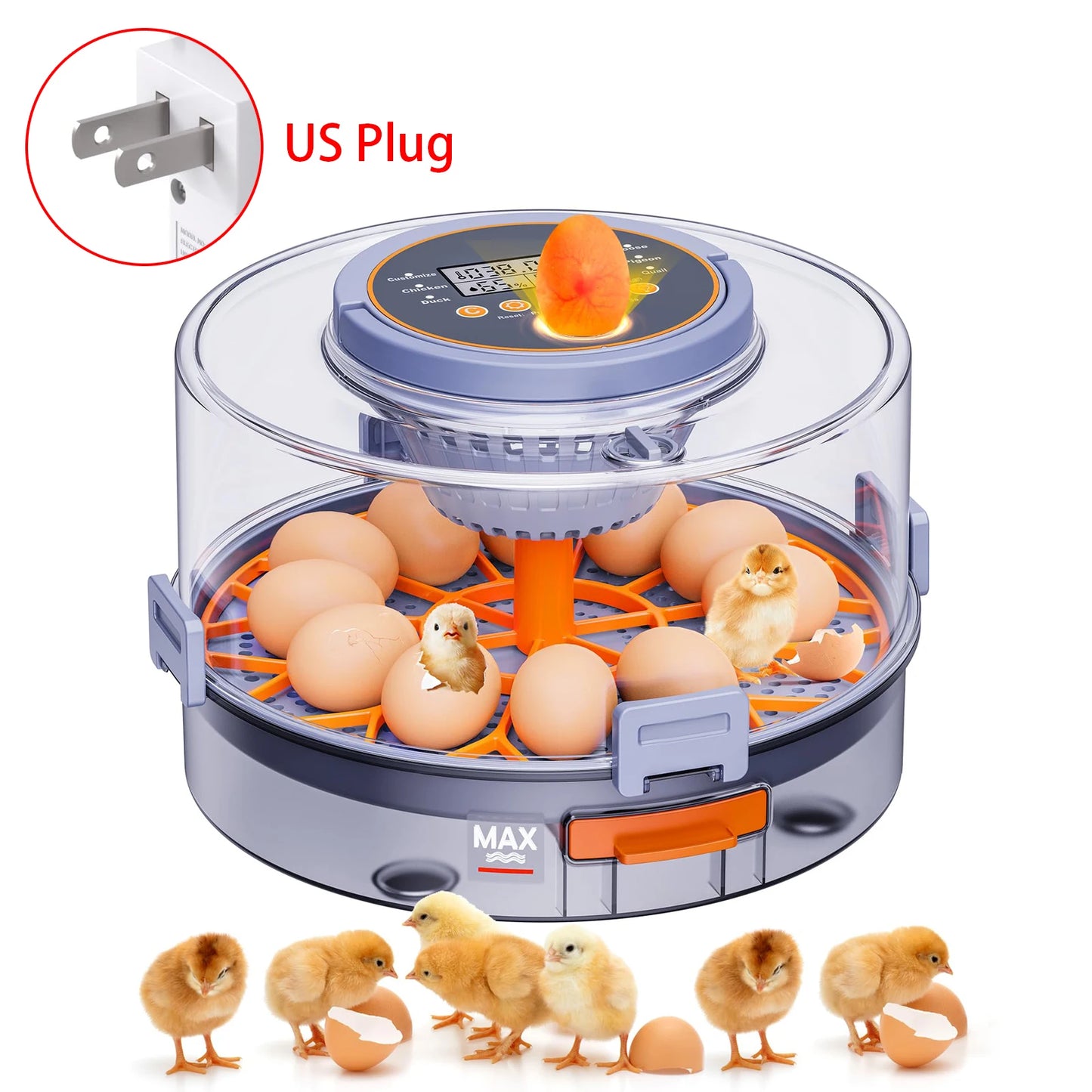 Choice 12 Egg Hatching Incubator With Automatic Turning Humidity Control