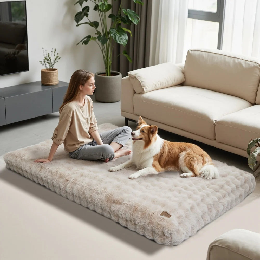 BORWARTCN Ultra Plush Dog Bed Soft Cushion for Pets