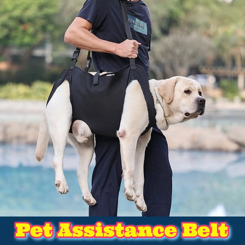 Guangdong Dog Hind Leg Support Harness Lift Sling Mobility Aid