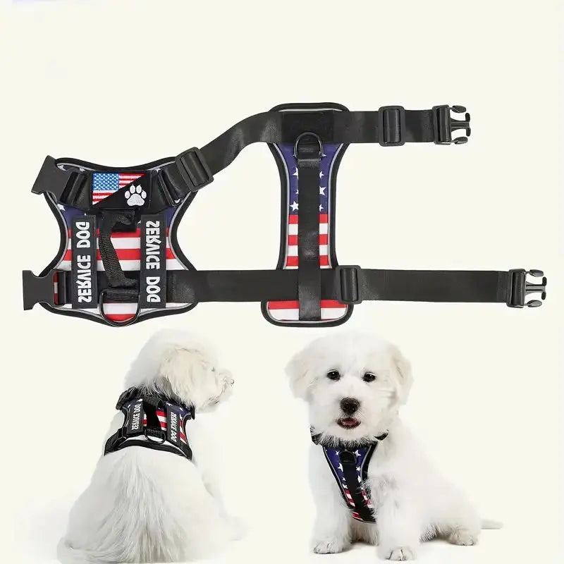 CN Zhejiang Escape Proof Dog Harness And Leash Set Reflective