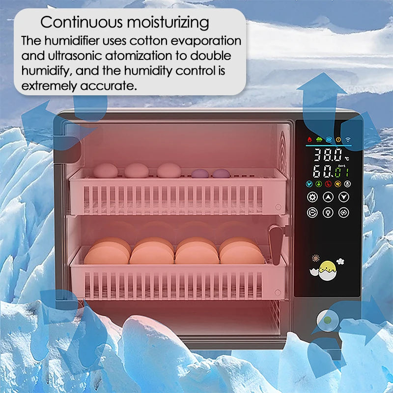 Dreamburgh 24 Egg Automatic Turning Incubator With Touch Temperature Control