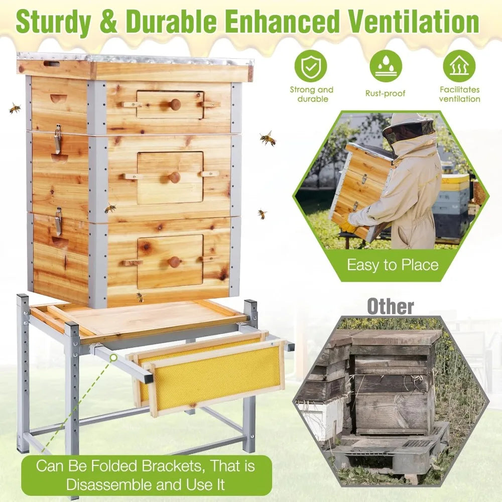 Beeswax Dipped Langstroth Beehive With Metal Frame And Stand