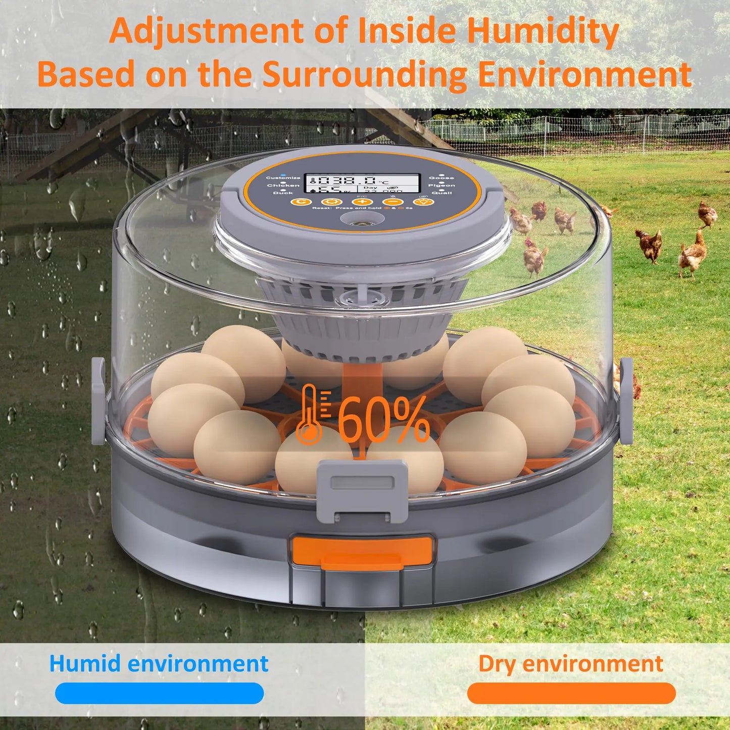 Choice 12 Egg Hatching Incubator With Automatic Turning Humidity Control