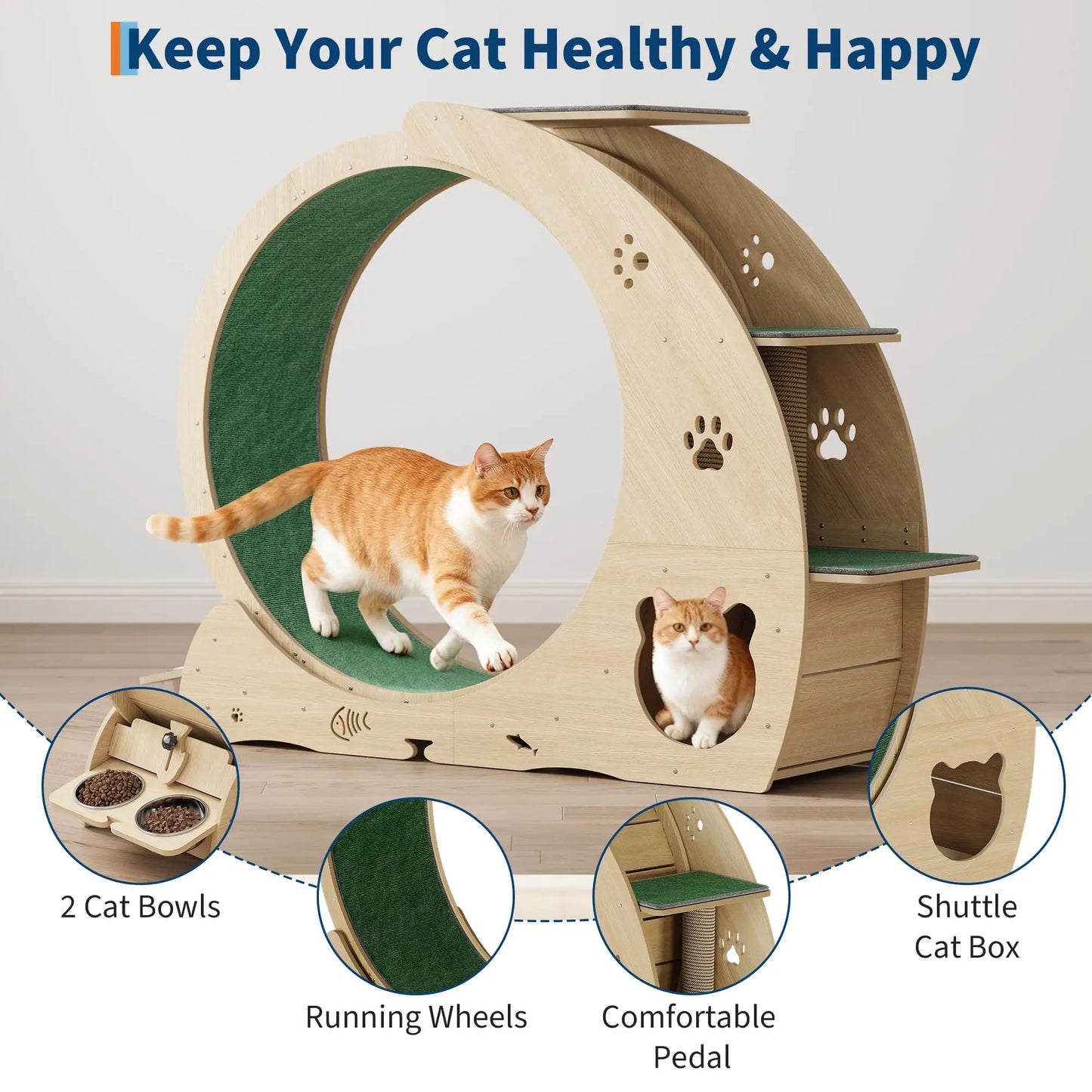 HiMISS 6in1 Cat Treadmill Wheel Exercise Station For Cats