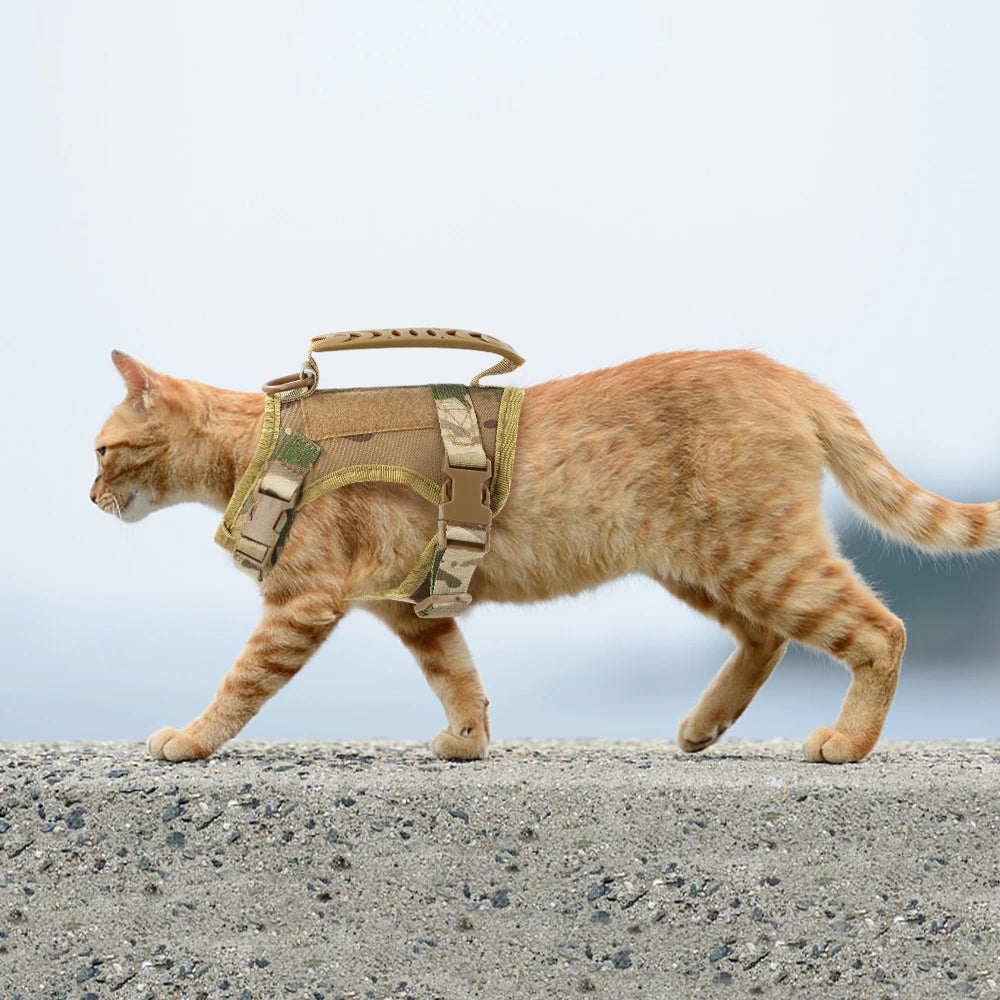 PETRAVEL Tactical Cat Harness With Handle For Training And Walking