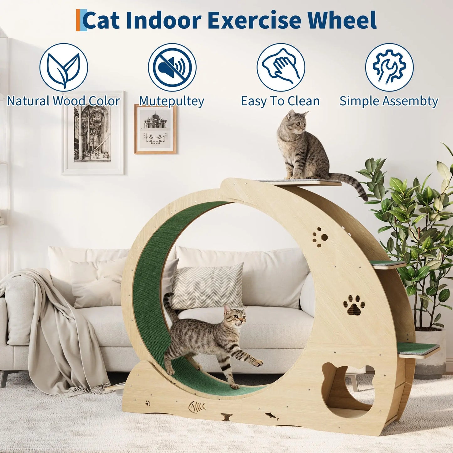 HiMISS 6in1 Cat Treadmill Wheel Exercise Station For Cats