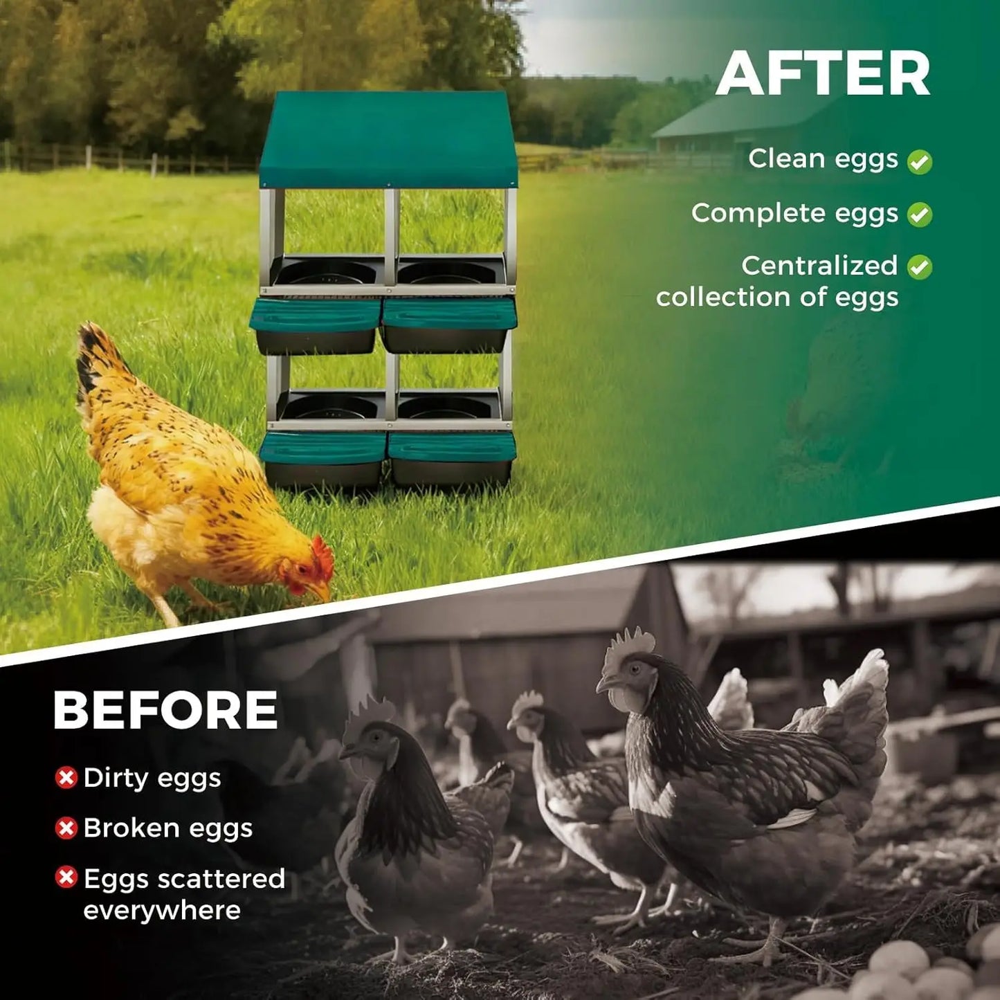 TWISTER.CK Metal Chicken Nesting Box With Automatic Rollout Egg Collection