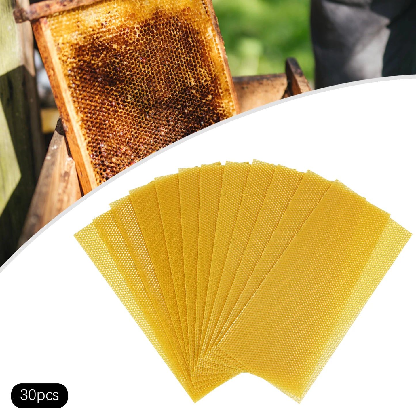 Beekeeping Starter Kit With Natural Beeswax Hive Foundations