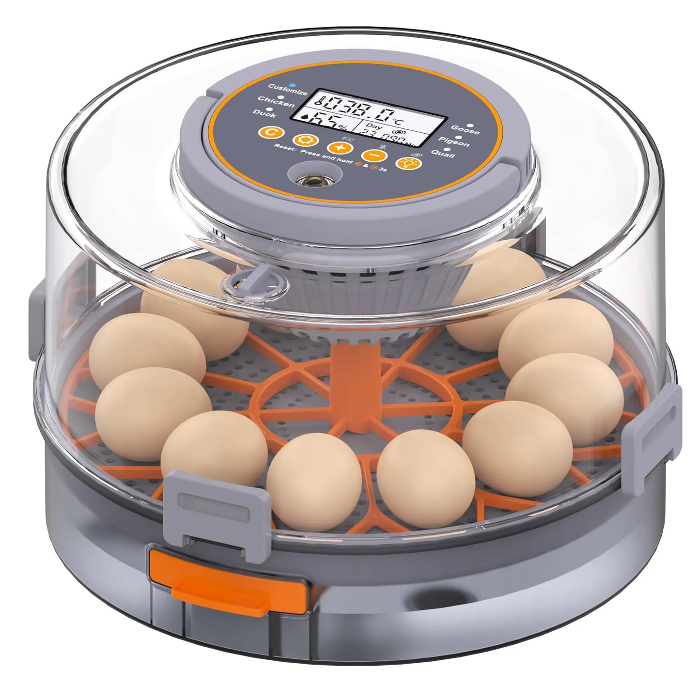 Choice 12 Egg Hatching Incubator With Automatic Turning Humidity Control