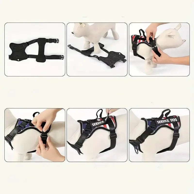 CN Zhejiang Escape Proof Dog Harness And Leash Set Reflective