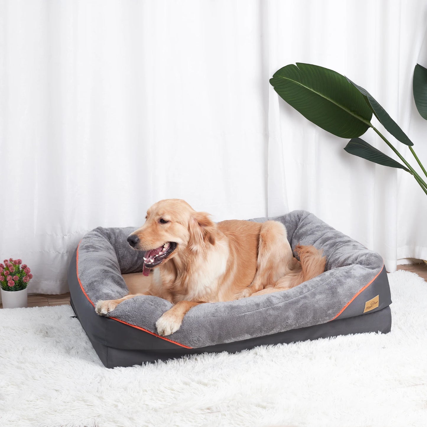 BINGOPAWCN Dog Bed With Removable Washable Cover Waterproof
