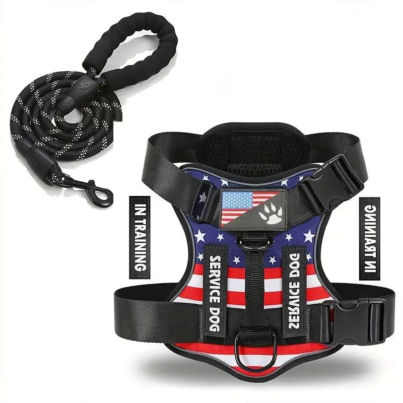CN Zhejiang Escape Proof Dog Harness And Leash Set Reflective