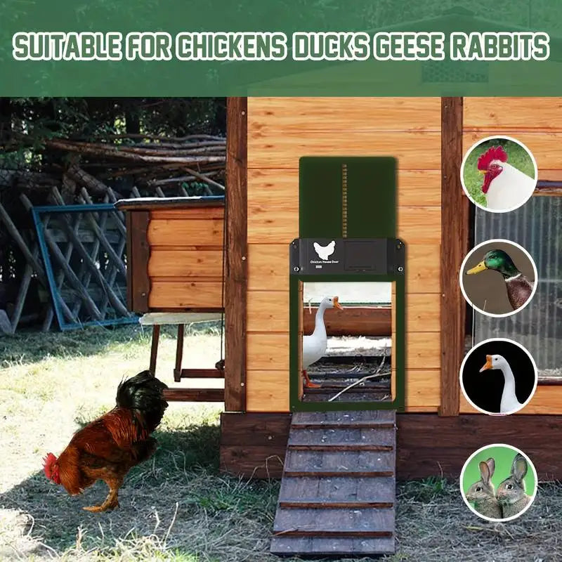 Choice Automatic Chicken Coop Door Opener Battery Powered Light Sensor