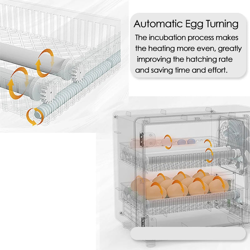 Dreamburgh 24 Egg Automatic Turning Incubator With Touch Temperature Control