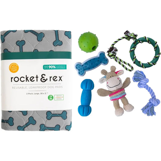 Rocket Rex Dog Premium Chew Toy Set and Pad Bundle