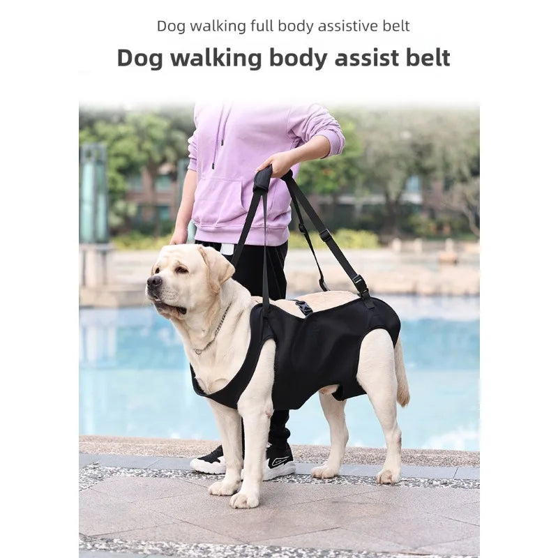 Guangdong Dog Hind Leg Support Harness Lift Sling Mobility Aid